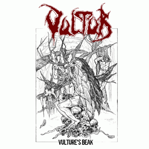 Vultur (GRC) : Vulture's Beak